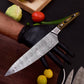 5pc Custom Damascus Steel Cooking Knives, Handmade BBQ Indoor, Outdoor Camping Kitchen Chef Knife Set, Full Tang Knives Gift For Dad
